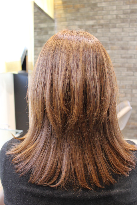 ミディアムレイヤー